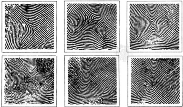 Fingerprint Patterns
