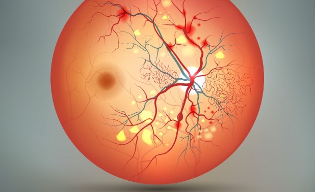 Retinal Blood Vessel Pattern