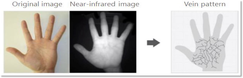 Vein Recognition